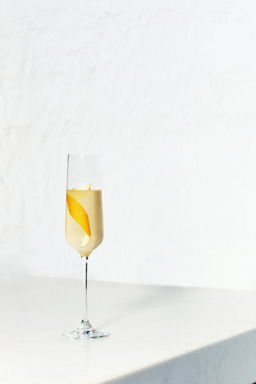 Kombucha Manguito